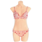 House Of Dasein Strawberry Plaid Lingerie Set