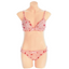 House Of Dasein Strawberry Plaid Lingerie Set
