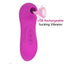House Of Dasein Clitoral Sucking Vibrator 10 Intensities Waterproof Rechargeable - Purple