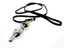 House Of Dasein Metal Butt Plug With Leash Bdsm Toys - L