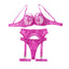 House Of Dasein Embroidered Lace Mesh Transparent Comfortable Underwear Four Piece Set - Rose Red - S