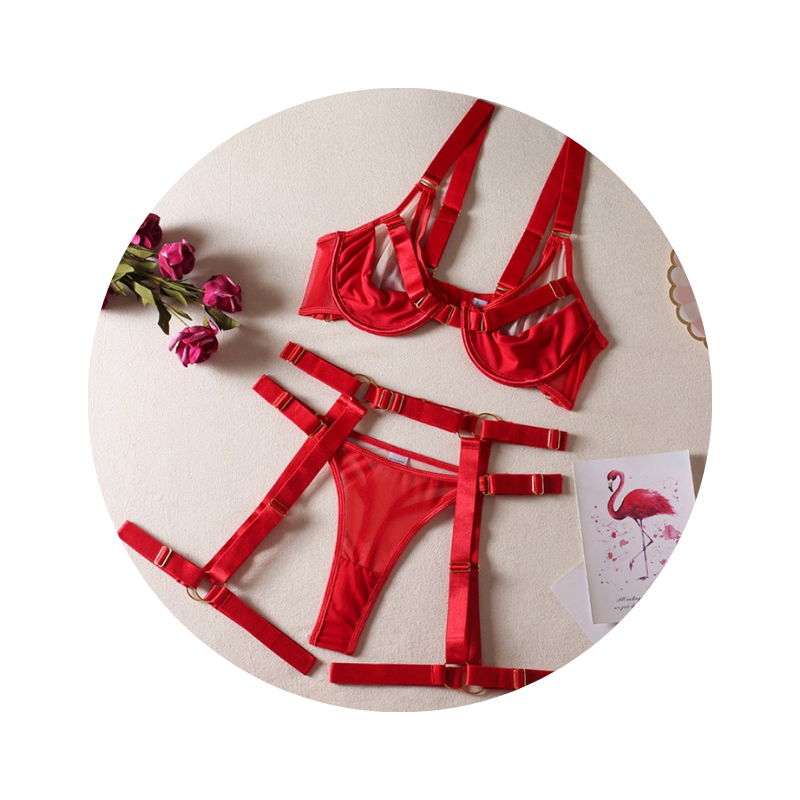 House Of Dasein Strappy Fetish Lingerie Bra Garter Underwear For Women In Black And Red - Red - M