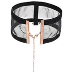 Sportsheets Sex & Mischief Sheer Day Collar Sportsheets