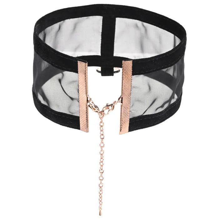 Sportsheets Sex & Mischief Sheer Day Collar Sportsheets Main image