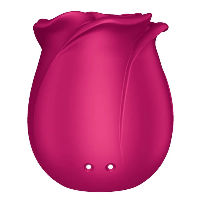 Satisfyer Pro 2 Classic Blossom USB Rechargeable Air Pulse Rose Stimulator Satisfyer