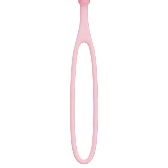 Adam & Eve PILLOW TALK EGG USB Rechargeable Vibrating Egg Vibrator With Wireless Remote Control Adam & Eve