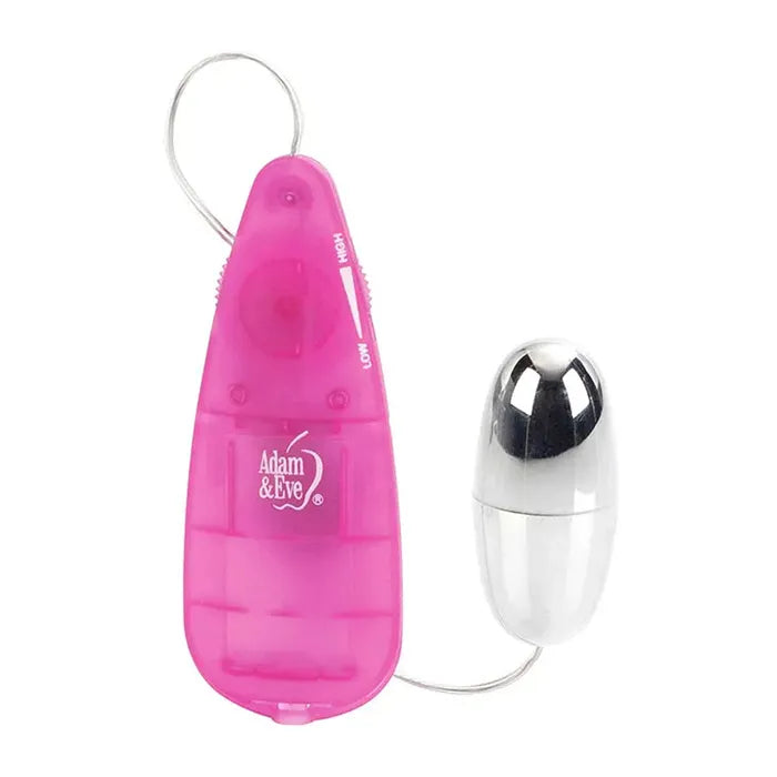 Adam & Eve VIBRATING SILVER BULLET 2.0 Bullet Vibrator With Pink Remote Adam & Eve Main image