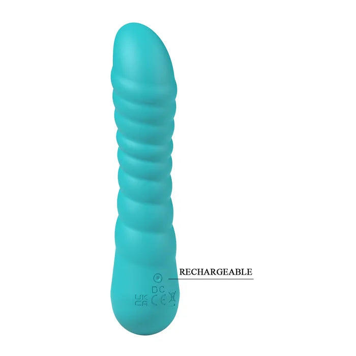 Party Up JAYLEI USB Rechargeable Vibrator 14.6cm Teal Party Up