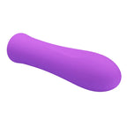 Party Up GARY USB Rechargeable Bullet Vibrator 10.2cm Purple Party Up