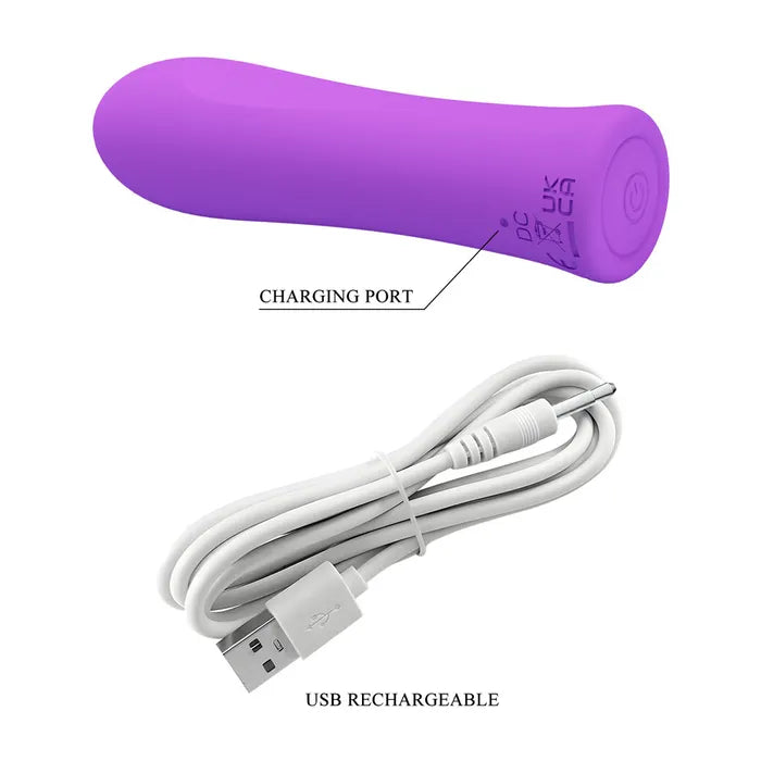 Party Up GARY USB Rechargeable Bullet Vibrator 10.2cm Purple Party Up