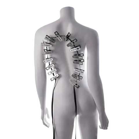 Sportsheets EDGE Body Zipper Clothes Pins Set Of 16 Chrome Sportsheets