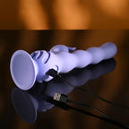 Evolved WIGGLY BUNNY USB Rechargeable Rabbit Vibrator With Suction Base Purple Evolved