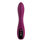 Passion Play USB Rechargeable Vibrator With LED Screen 19.2 cm Passion Play