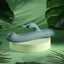 Evolved SATIN SWIRL USB Rechargeable Rabbit Vibrator Green 23cm Evolved