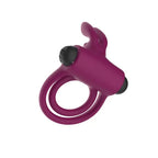 Passion Play USB Rechargeable Silicone Rabbit Vibrating Cock Ring Purple Passion Play