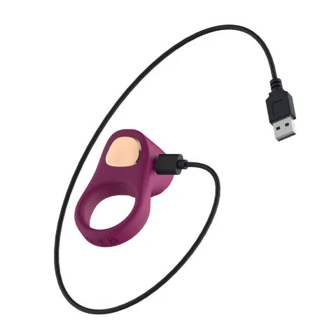 Passion Play USB Rechargeable Silicone Vibrating Cock Ring Purple Passion Play