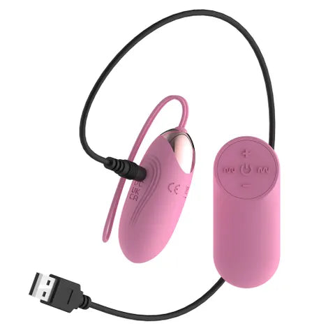 Passion Play USB Rechargeable Silicone Vibrating Egg With Wireless Remote Pink Passion Play