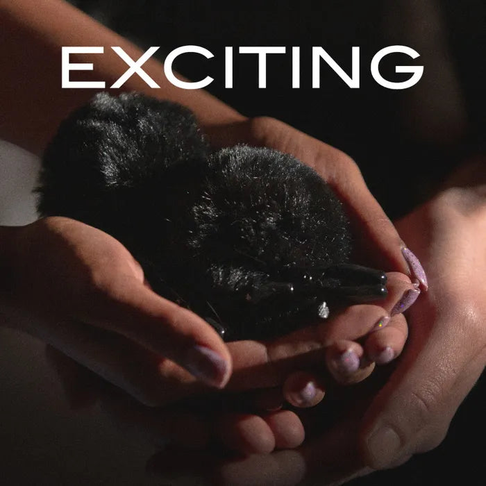 Blush Novelties Noir Pom Adjustable Furry Nipple Clamps Blush Novelties