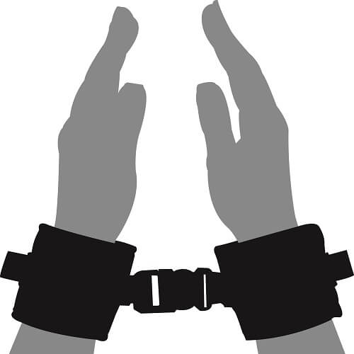 Loving Joy Beginners Wrist Restraints Loving Joy Main image