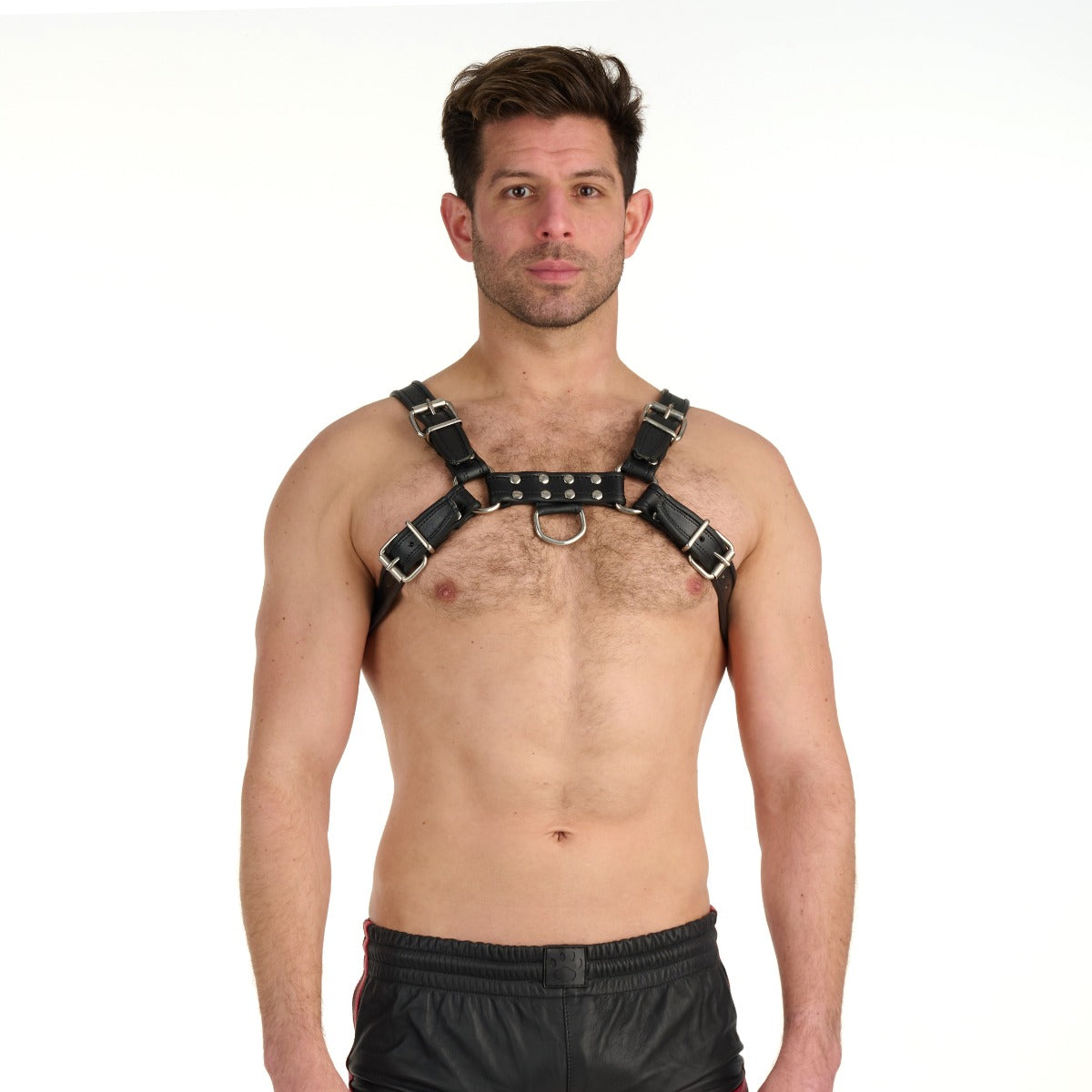 Prowler Red Bull Harness Black XXL
