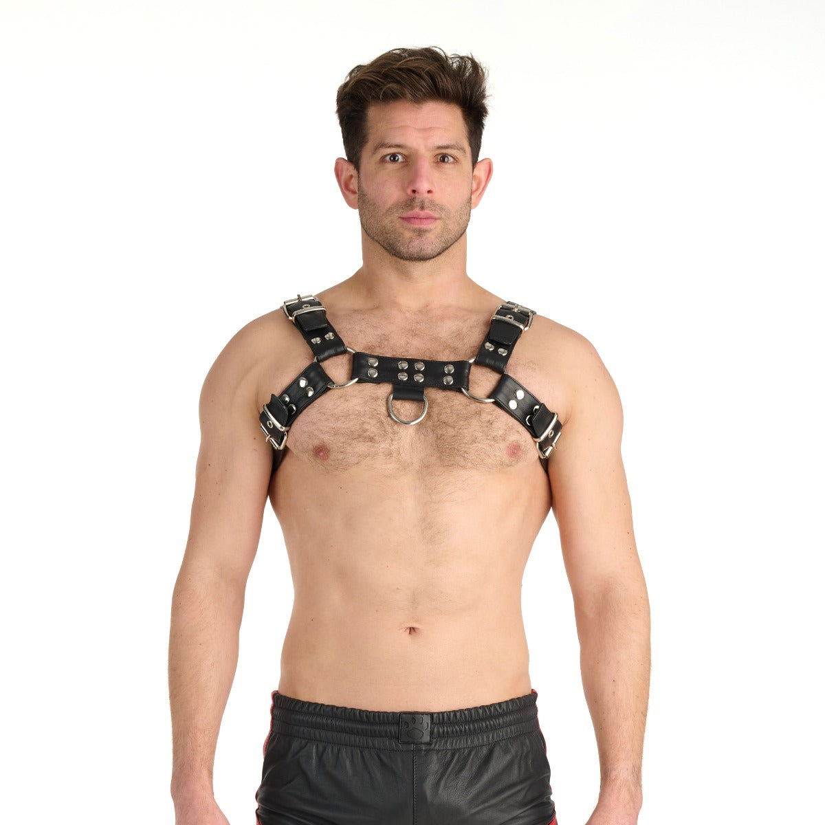Prowler Red Butch Harness Premium Black XXL