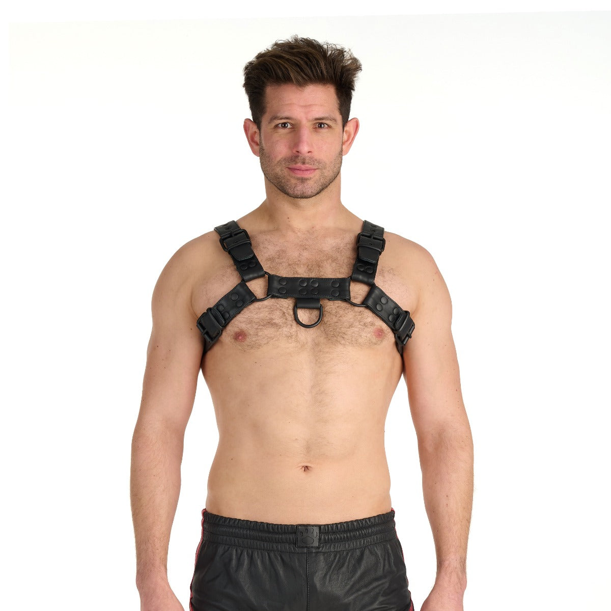 Prowler Red Noir Harness Premium Black XXL